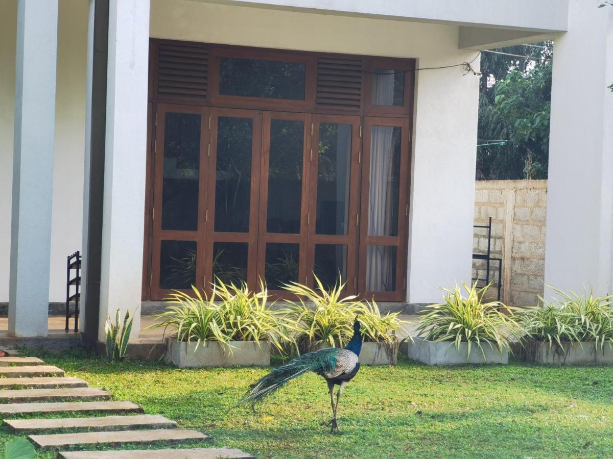 Ruwinsons Canal Garden Anuradhapura Eksteriør bilde