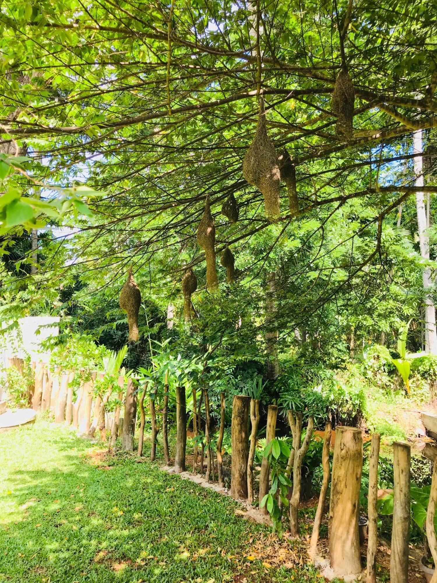 Ruwinsons Canal Garden Anuradhapura Eksteriør bilde